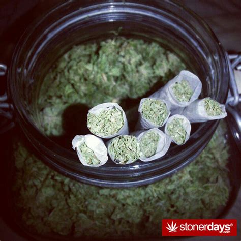 stoners wake n bake daily updates stoners smoking weed