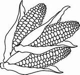 Corn Clipart Coloring Clip Pages Drawing Indian Cob Stalk Cliparts Candy Harvest Printable Vegetables Easy Carson Ces Index Symbol Fan sketch template