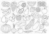 Frutta Verdura sketch template