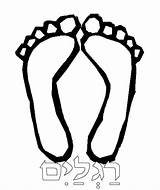 Feet Coloring Clipart Foot Toes Colour Pages Clip Tots Torah Library Natasha Ridiculously Hot Torahtots Webstockreview Template 2000 Inc sketch template