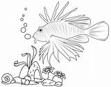 Coloring Lionfish Pages Reef Swims Coral Edge Along sketch template