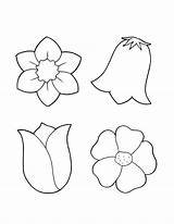 Flower Template Colour Coloring Easy Drawings Clipart Pages Library Simple sketch template