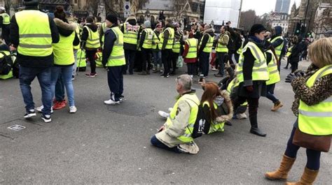 girl  arrested  pro brexit demo  yellow vests protests   london runitedkingdom