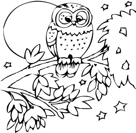 fall animals coloring pages  getdrawings