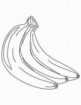 Banana Tree Coloring Pages Bunch Vitamins Netart Getdrawings Getcolorings sketch template