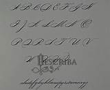 Spencerian S01 Manuscrito Manuscritos Desejos Caligrafia sketch template