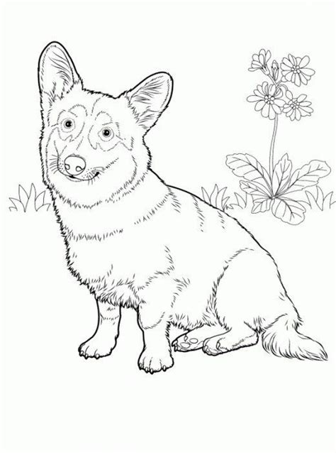 dog coloring pages ricamo disegni uncinetto
