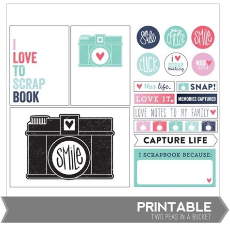 printable capture life project life freebies project life