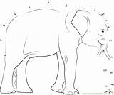 Elephant Dots Connect Dot Male Worksheet Indian Kids Animals Printable Coloring Elephants Asian Pdf Print Connectthedots101 Email Worksheets sketch template