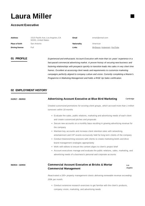 account executive resume writing guide  templates