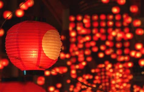 gorgeous japanese lantern festivals   japan