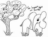 Coloring Boyfriend Pages Getcolorings Elephant Getdrawings Cliparts Library Clipart Popular Colorings sketch template