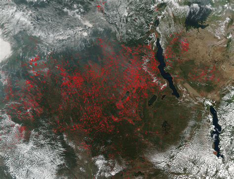 hundreds of fires take over central africa nasa