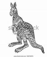 Kangaroo Zentangle sketch template