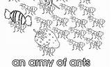 Collective Army Ants Colouring Coloring Ant Colony Nouns Pages Worksheet Worksheets Verbs Noun Print Birds Activities Worksheeto sketch template