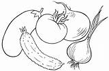 Mewarnai Sayuran Sd Paud Terung sketch template