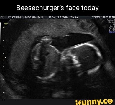 beesechurgers memes  collection  funny beesechurgers pictures  ifunny