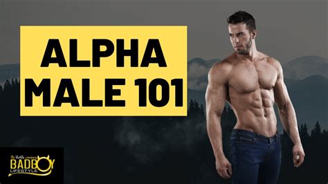 How To Be An Alpha Male Youtube