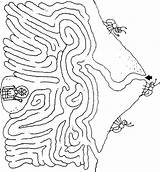 Ant Maze Ants Printable Choose Board Queen sketch template