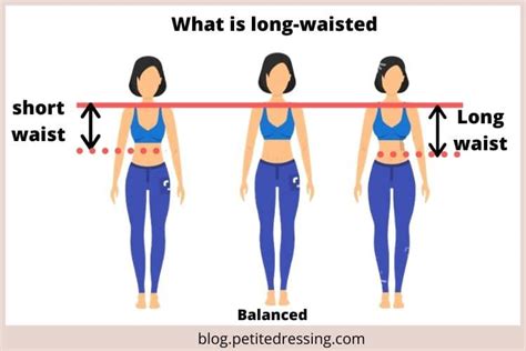 dress     long waist  comprehensive guide