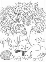 Coloring Pages Animals Woodland Forest Adults Animal Printable Creatures Color Crafts Getcolorings Template Getdrawings Choose Board sketch template