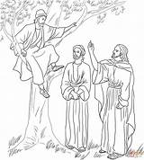 Coloring Jesus Zacchaeus Meets Pages Tree Fig Printable Zaccheus Bible Kids Supercoloring Para Color Sheets Colorear Door Knocking Print Loves sketch template