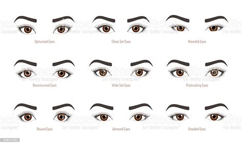types of woman eyes collection set of vector eye shapes stock vector