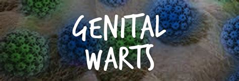 about genital warts