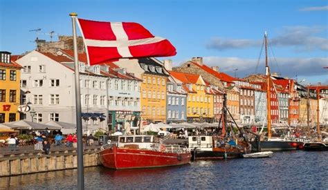 study  denmark bluesky immigration students consultancy