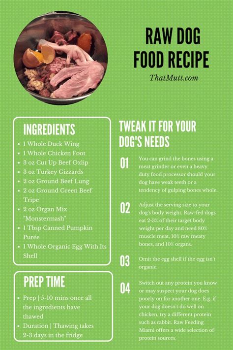 balanced raw dog food recipe raw dog food