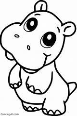 Hippo Face Coloringall Sheets Babies sketch template