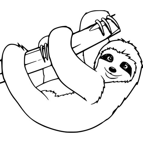 sloth coloring pages printable