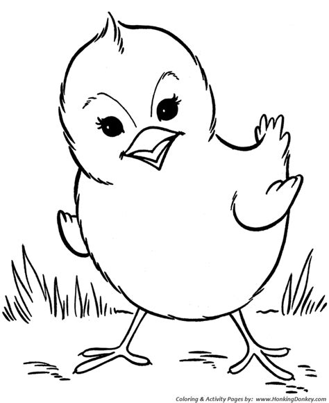 farm animal coloring pages spring baby chick coloring page  kids