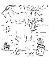 Gruff Goats Punctele Uneste Cu Unir Liga Desene Planse Plansa Colorat Ponto Ligue Afla Pobarvanke Pike Uniti Relier Point sketch template