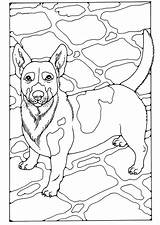 Jack Russel Kleurplaat Malvorlage Dibujo Kleurplaten Ausmalbild Ausdrucken Hund Educolor Herunterladen Große Abbildung Downloaden Uitprinten sketch template