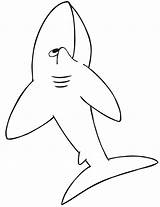 Tiburon Cartoonish sketch template