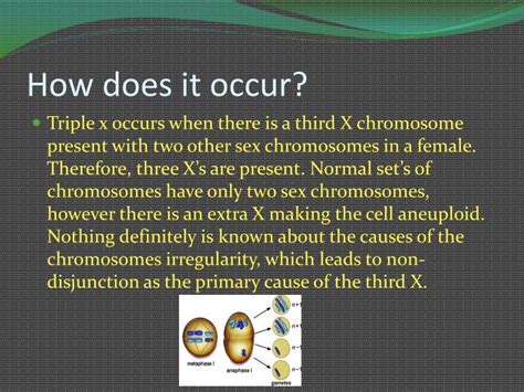 Ppt Triple X Syndrome Powerpoint Presentation Id 5816143