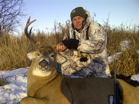 Whitetail Deer Hunting Gallery Burnt Lake Outfitters