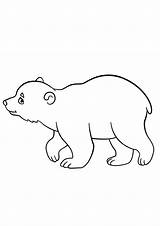 Coloring Bear Baby Indiaparenting sketch template