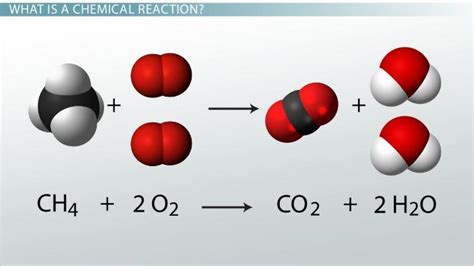 examples  reactants  products