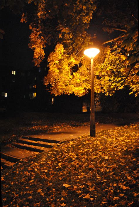 autumn night  dudykaa  deviantart