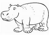 Hippo Coloring Pages Amazing Outline Drawing Netart Color Face Printable Getdrawings sketch template