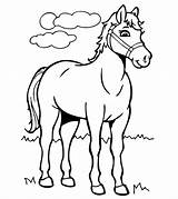 Horse Coloring Pages Printable Color Toddler Top sketch template
