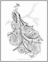 Butterflies Peacock Coloring Ll Amazing Printable Detail Easy Available sketch template