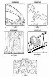 Coloring Dragon Petes Pages Popular sketch template