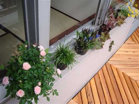 choose  plants  balcony garden