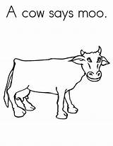 Cows Pages Moo Says Coloring Color sketch template