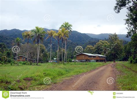 Village In Papua New Guinea Stock Image Image Of Grass