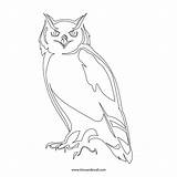 Owl Outline Stencil Printable Sketch Clipart Cliparts Coloring Drawings Silhouette Library Clip Board Template Navigation Post Choose Comments sketch template