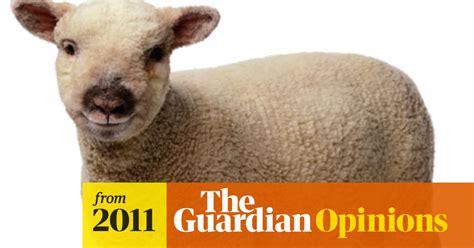 don t you just love those spring lambs spring the guardian